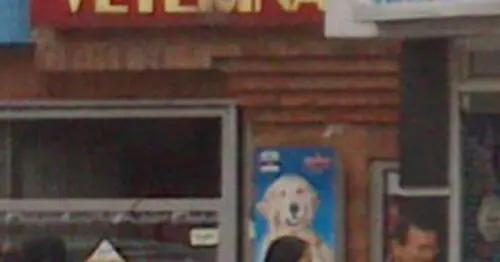 CIUDAD CAN VETERINARIA CIUDAD CAN VETERINARIA